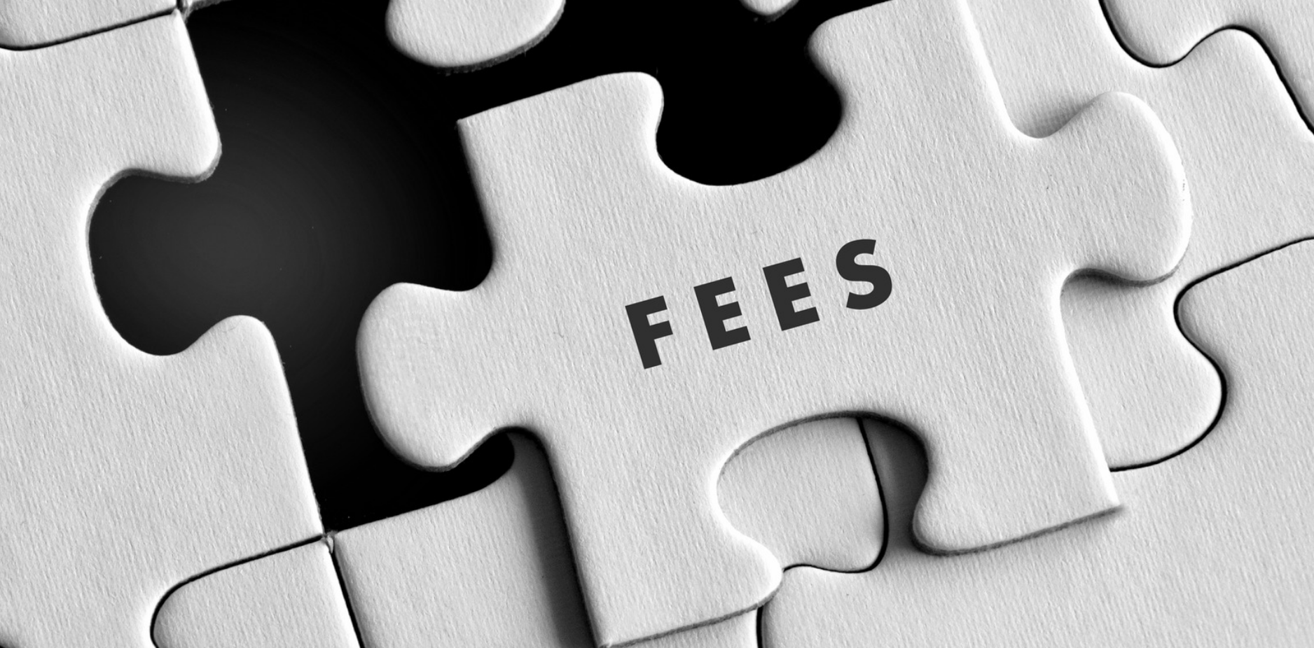 jigsaw puzzle with "fees" written on
